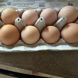 Farm Fresh Eggs