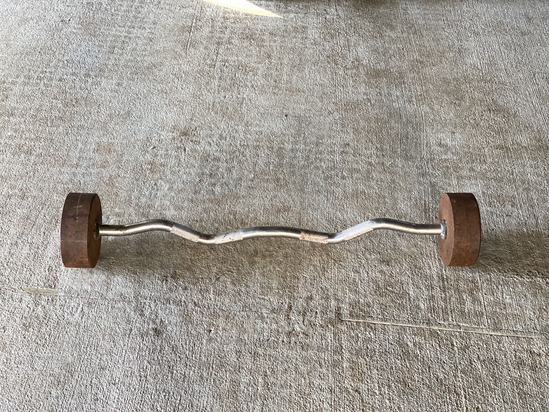 Easy Curl Bar (80lb)