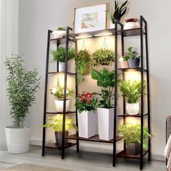 Plant Shelf/cabinet (purchased For $92 Last Summer)