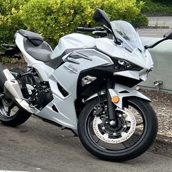 2024 Kawasaki ninja 500