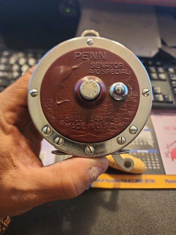Penn Reel 113H