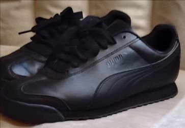 Puma roma
