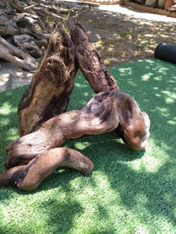 4 pieces of natural driftwood