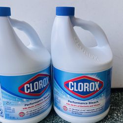 Clorox Performance Bleach