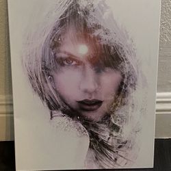 Taylor Swift Displate Poster