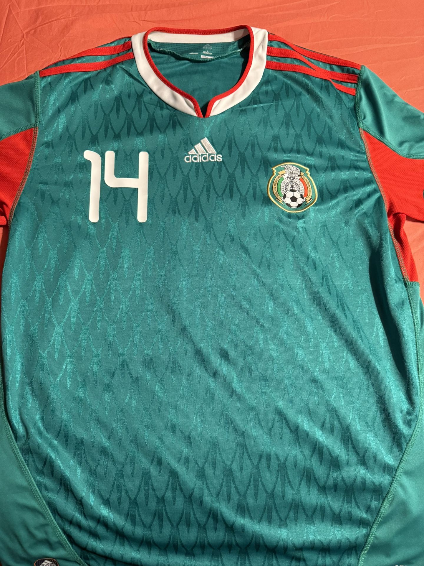 2010 South Africa World Cup 