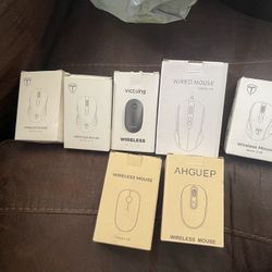 Mouses 