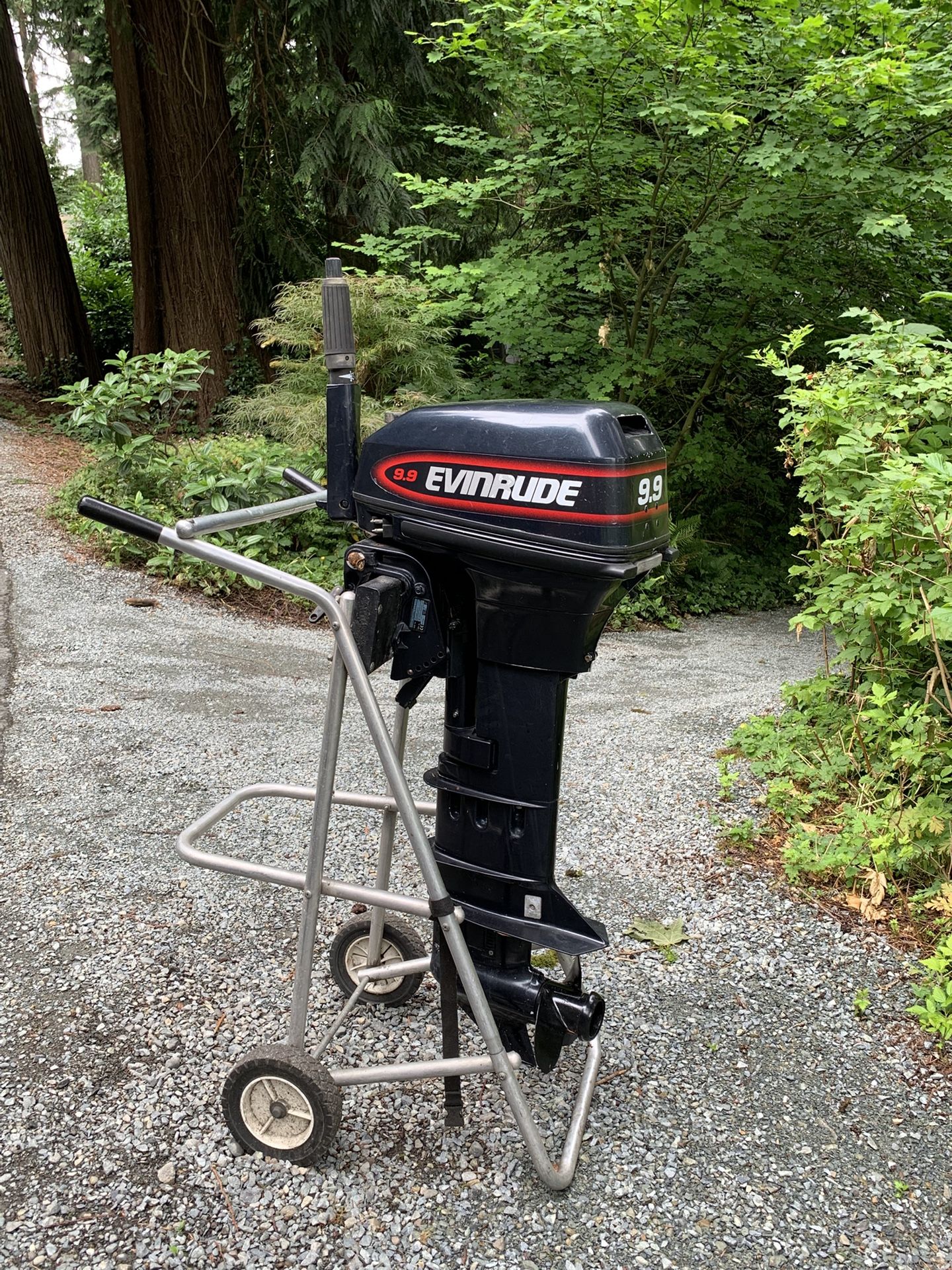 Evinrude 9.9 