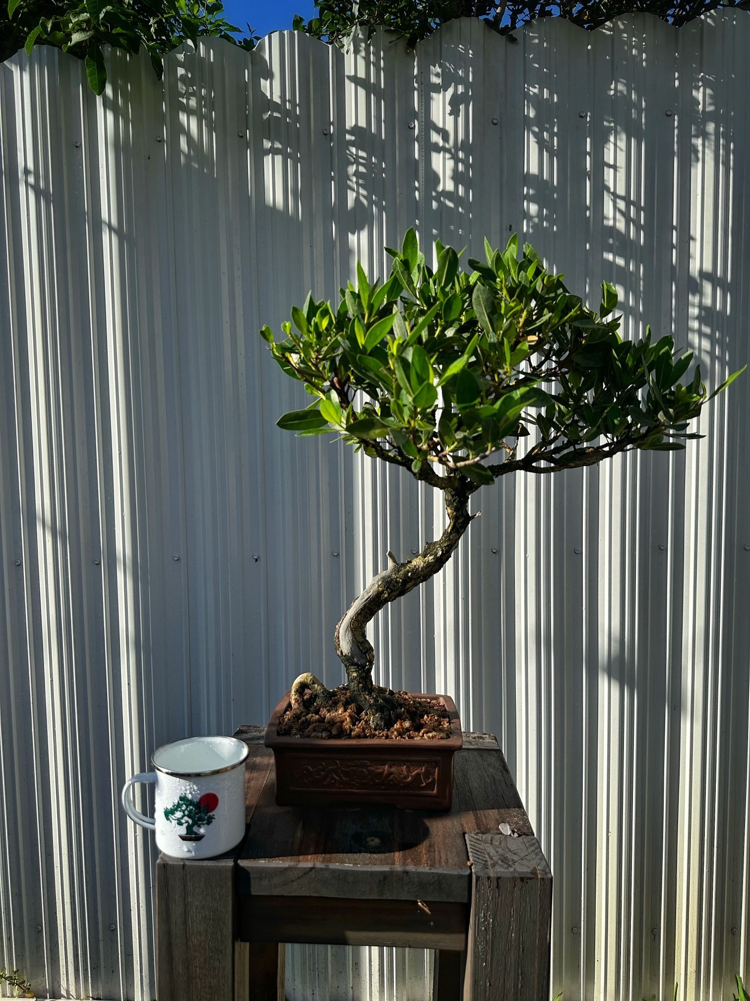 tall indoor planter Tall Modern Planter Pot, Tapered Square Design
