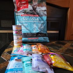 Cat Food 