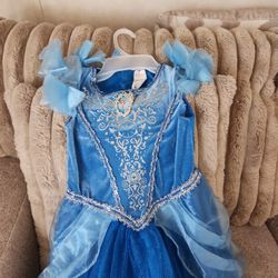 Custom Cinderella 