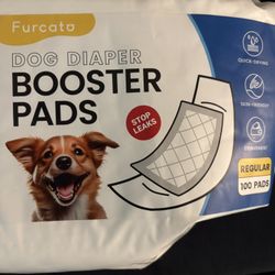Dog Senior Male Diaper Pee Pad Regular Size 