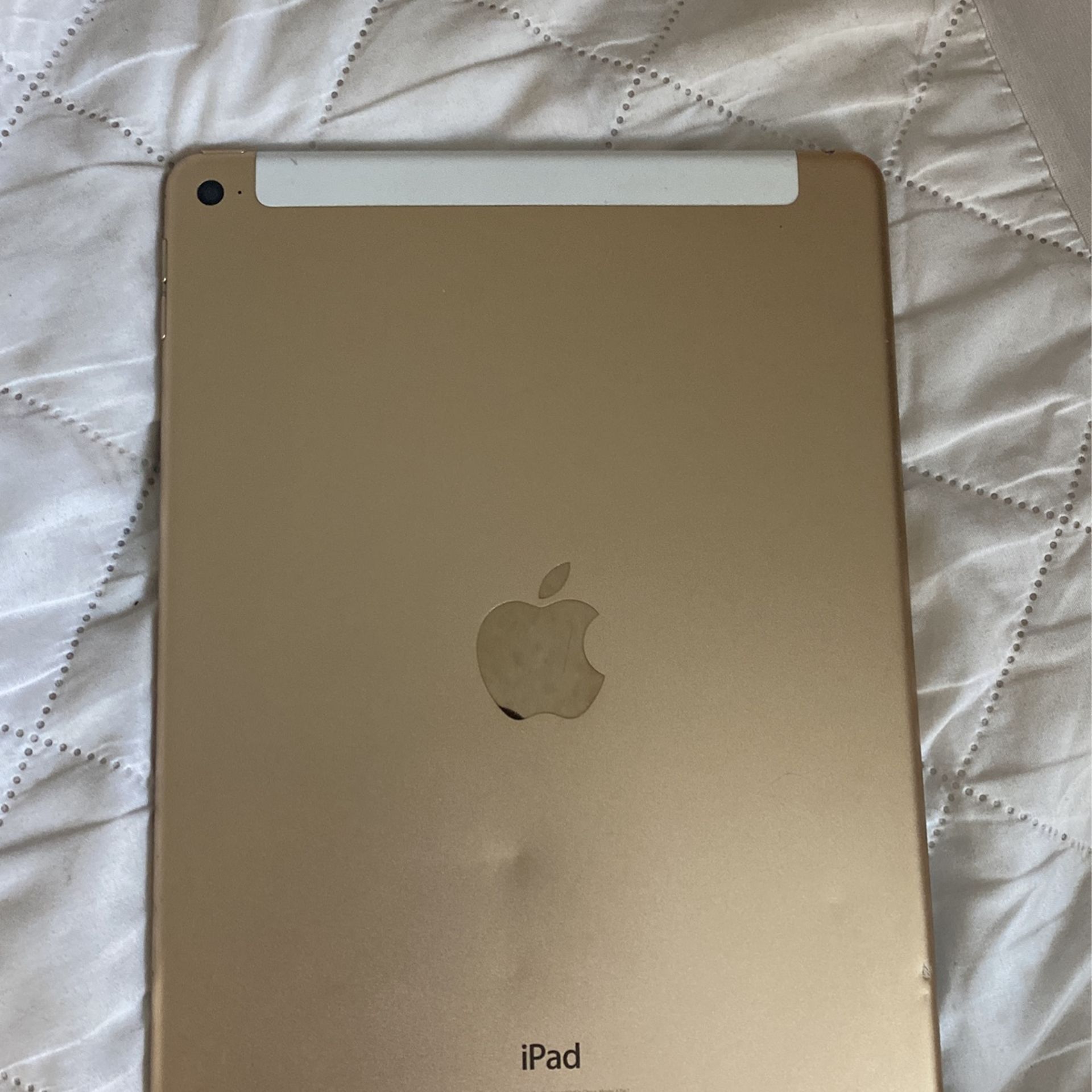 iPad