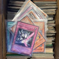 Yu-Gi-Oh Cards
