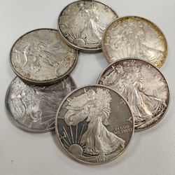 Toned And Marked American Silver Eagles $3 Over Spot