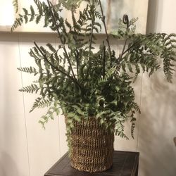 Artificial Plant Asking $10 OBO 