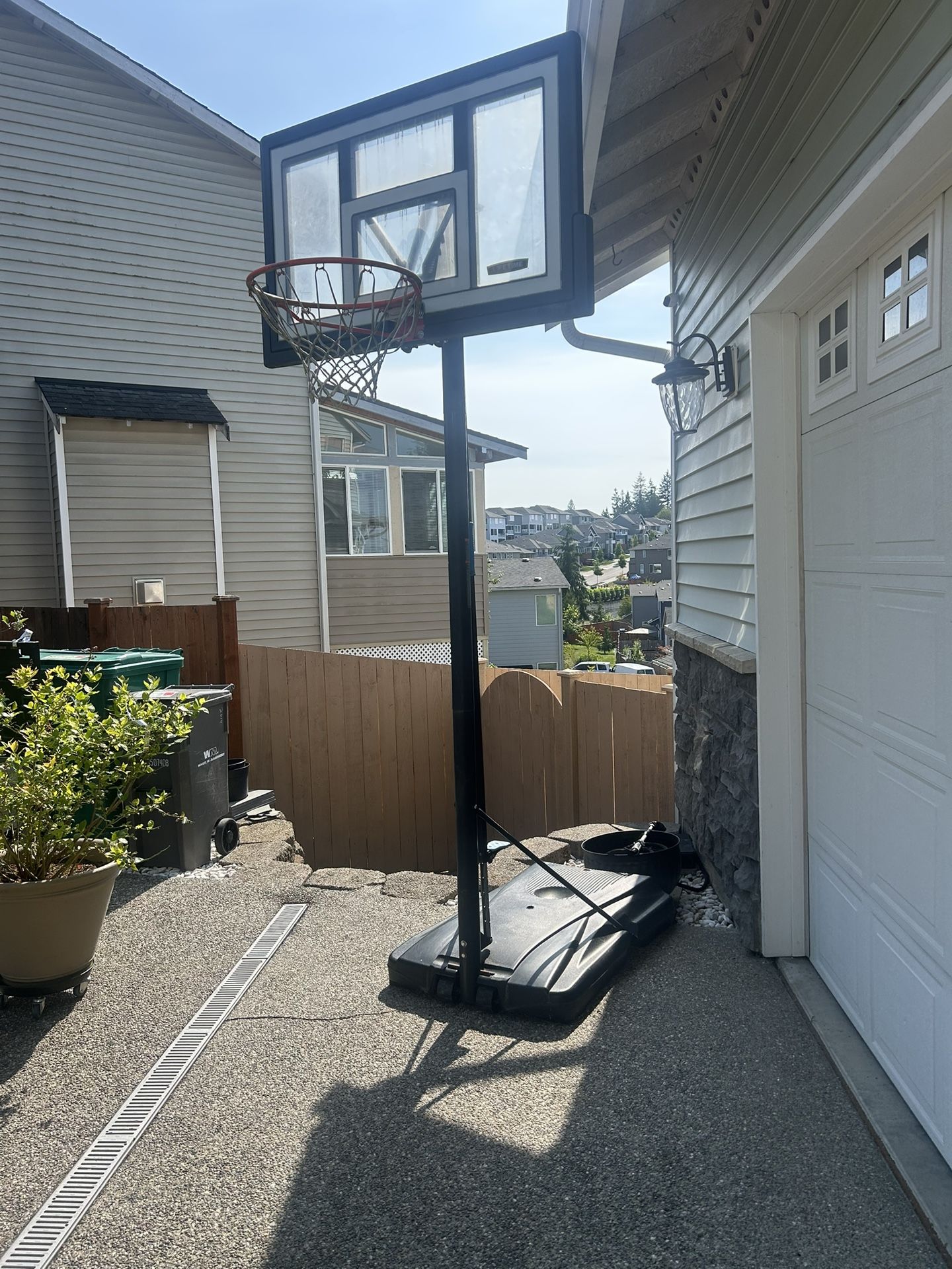 Lifetime 10ft Freestanding Basketball Hoop