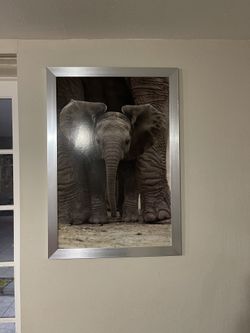 Frames