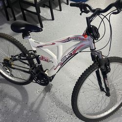 Next Ascent Bike
