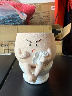 Funny Toilet Plant Pot for Indoor Plants