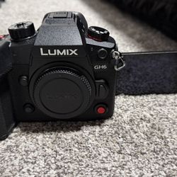 Panasonic Lumix GH6 Mirrorless Camera with  Lumix G Vario 14-140mm Telephoto Zoom Lens with F3.5-5.6 II ASPH