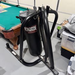 Ringside 100lbs Punching Bag with Everlast Stand