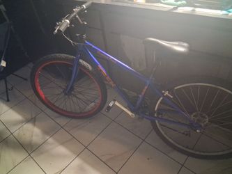 Trek bike