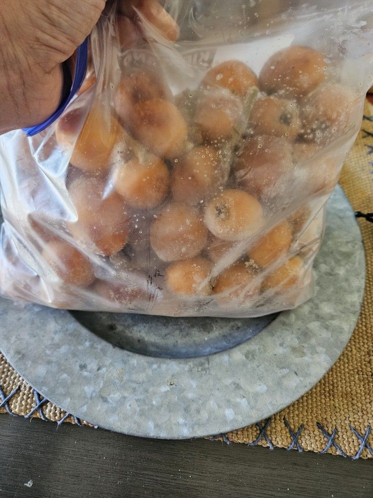 Loquat Frozen Bag. Large Zip Bag For 4 