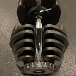 Adjustable Dumbells 1090 (10-90lbs)