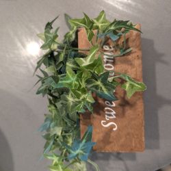 House Decor Plant FREE