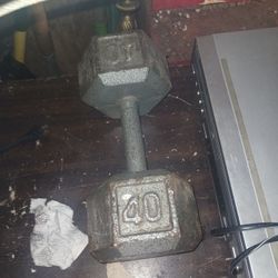 40Lbs Dumbbell 