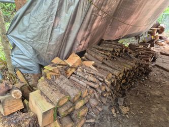 Free cedar dry dry dry