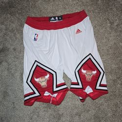 Men's Size: XL basketball Shorts