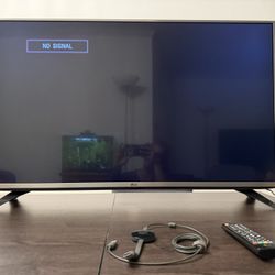 43 Inch LG Full HD 1080 TV