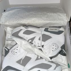 Jordan 6s 