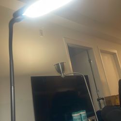 Cute Black LED Standing Lamp Flexible Up And Down