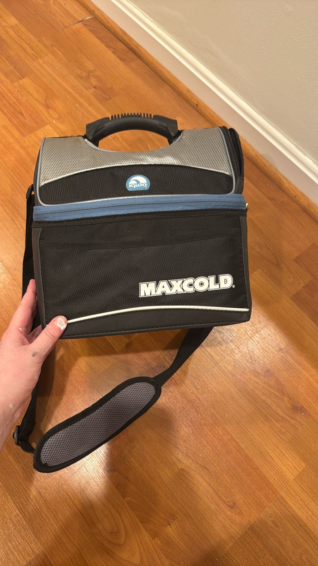 Igloo Cooler Bag