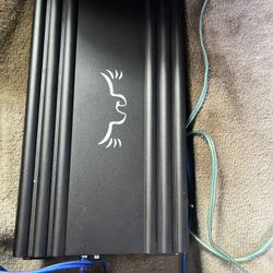 Custom Amplifier 