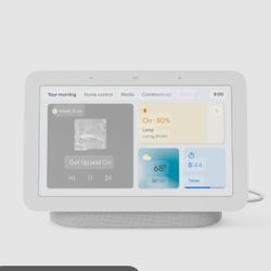 Google Home Nest 