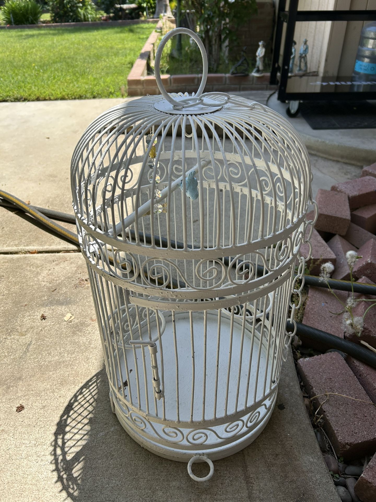 Bird cage 50