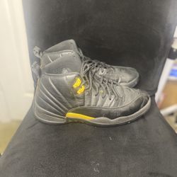 Jordan 12 