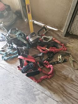 Harness