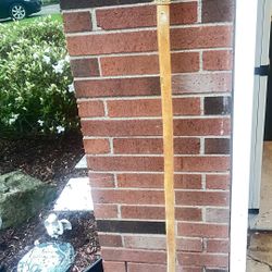 Eagle Solid Wood Walking Stick