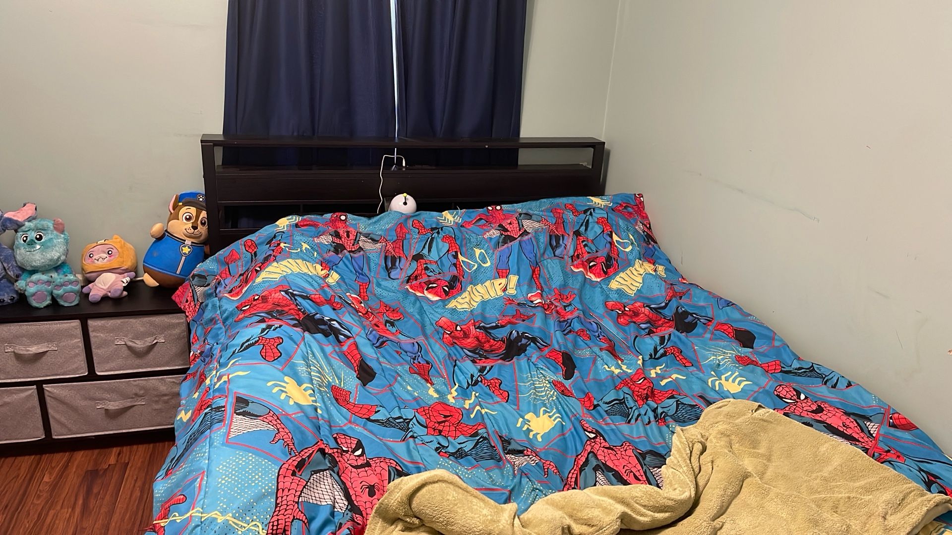 Queen Bed Frame And Wooden Plank