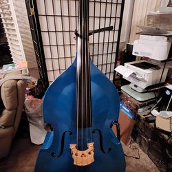 Unique Upright Bass