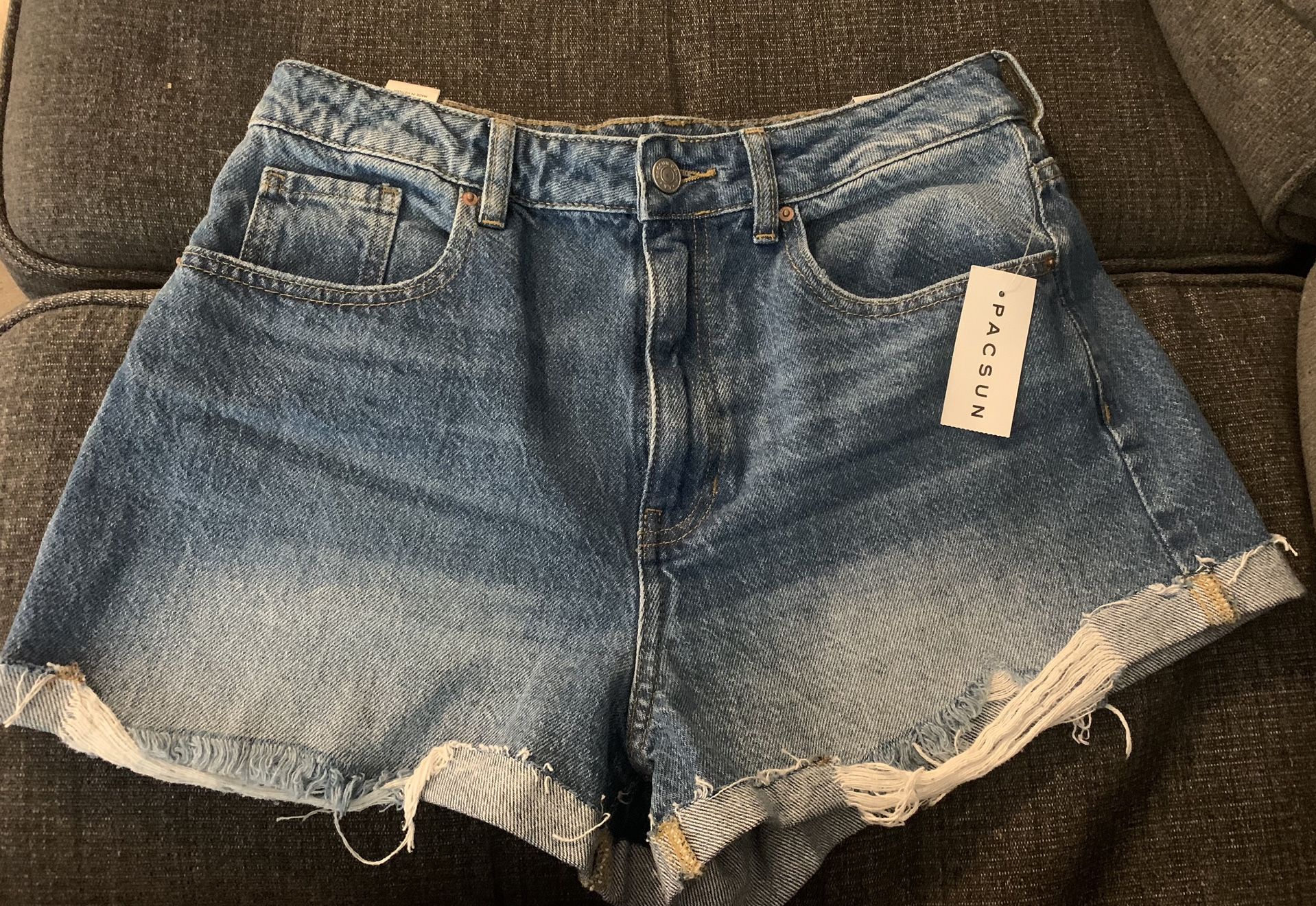 Pacsun Shorts (Size 29)
