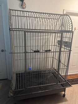Parrot Cage