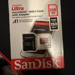 SanDisk Micro