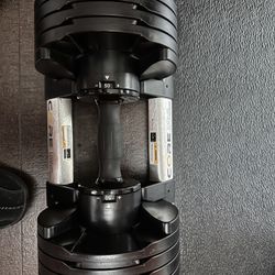 Core Adjustable Dumbbells 