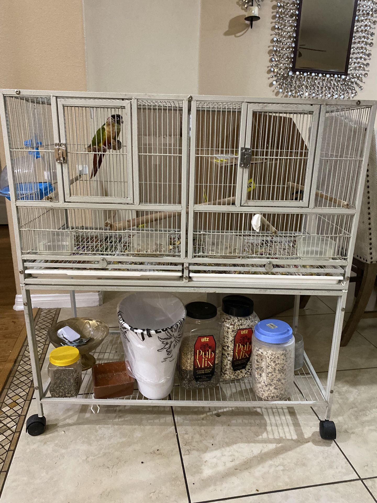 Bird Cages